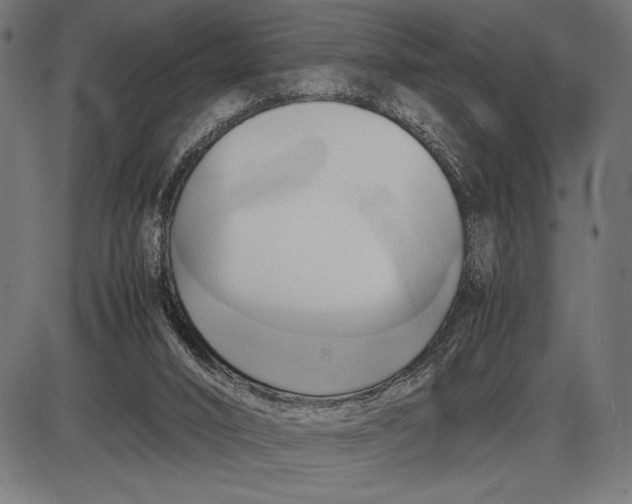 X0000086080016200704091313