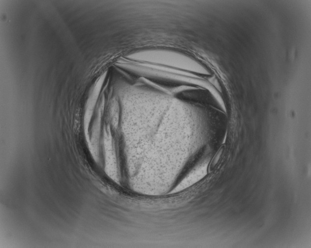 X0000086080017200704091313