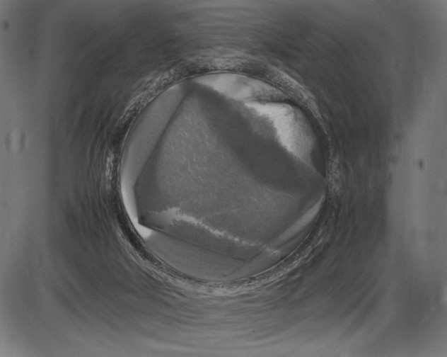 X0000086080018200704091313