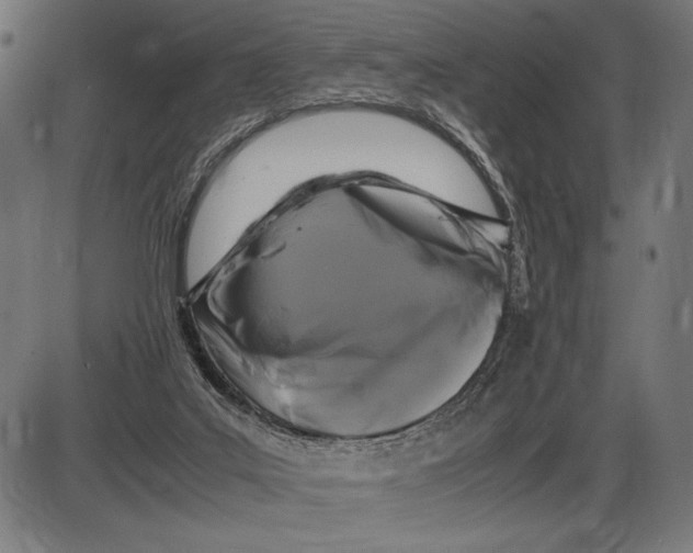 X0000086080019200704091313