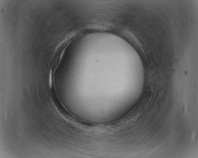 X0000086080020200704091313