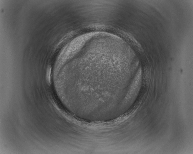 X0000086080024200704091312