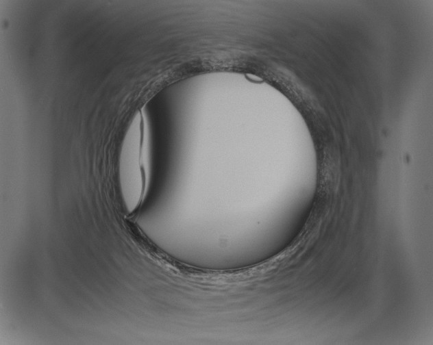 X0000086080025200704091312