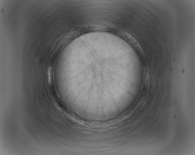 X0000086080026200704091312