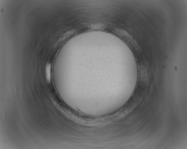 X0000086080028200704091312