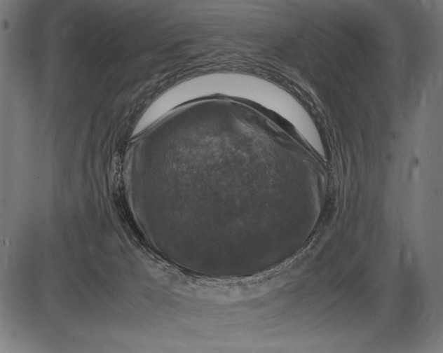 X0000086080029200704091312