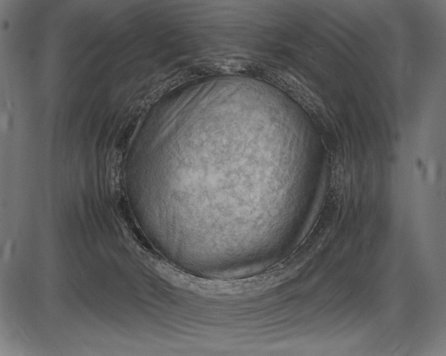 X0000086080030200704091312