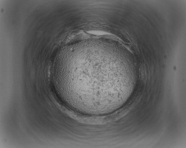 X0000086080032200704091312