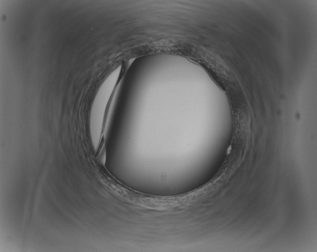 X0000086080033200704091312