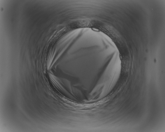 X0000086080035200704091312