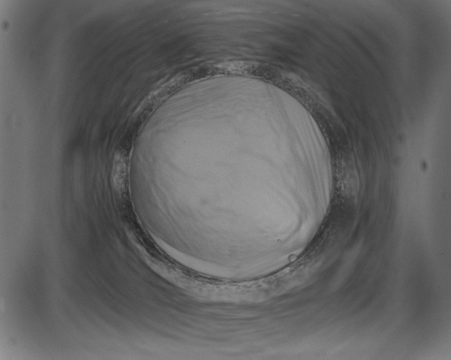 X0000086080036200704091312