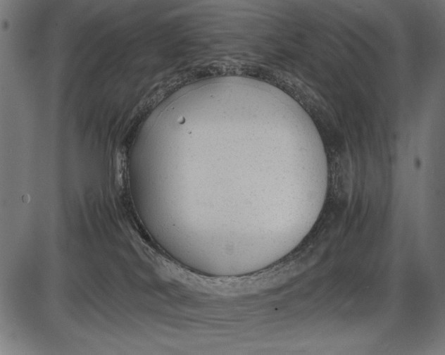 X0000086080038200704091312