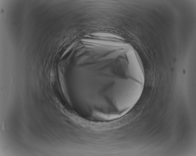 X0000086080039200704091312