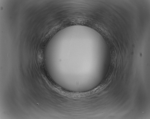 X0000086080040200704091312