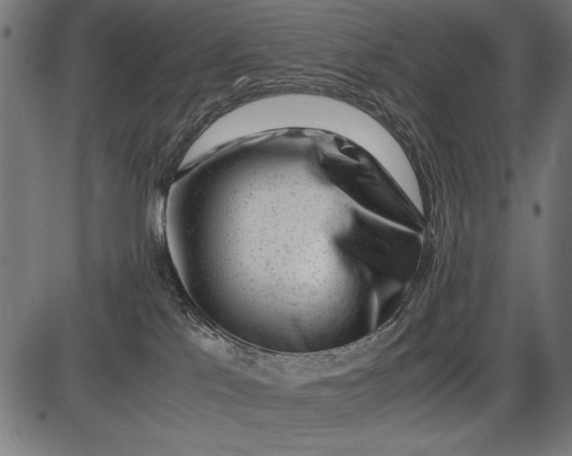 X0000086080041200704091312