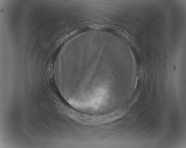 X0000086080043200704091312