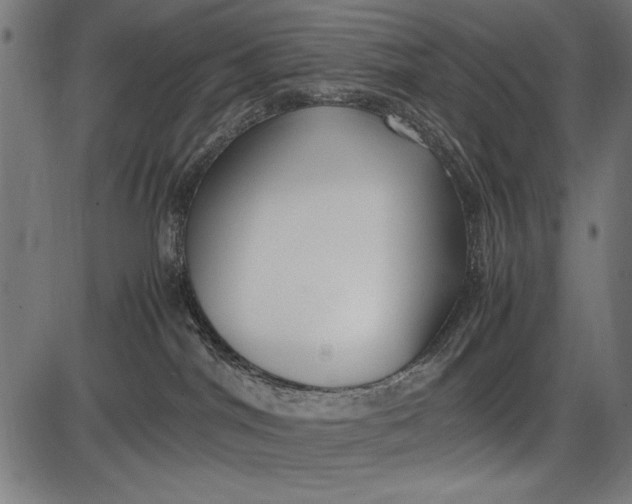 X0000086080044200704091312