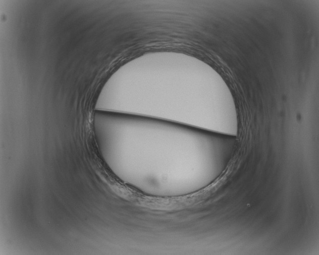 X0000086080045200704091312