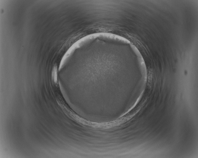 X0000086080046200704091312