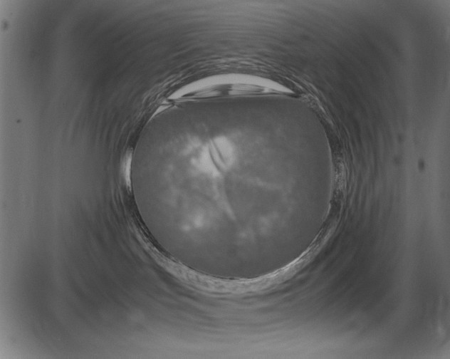 X0000086080047200704091312