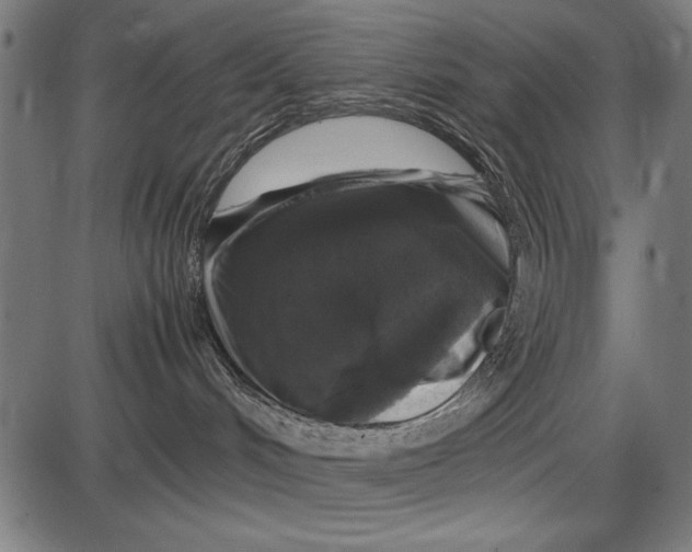 X0000086080048200704091312