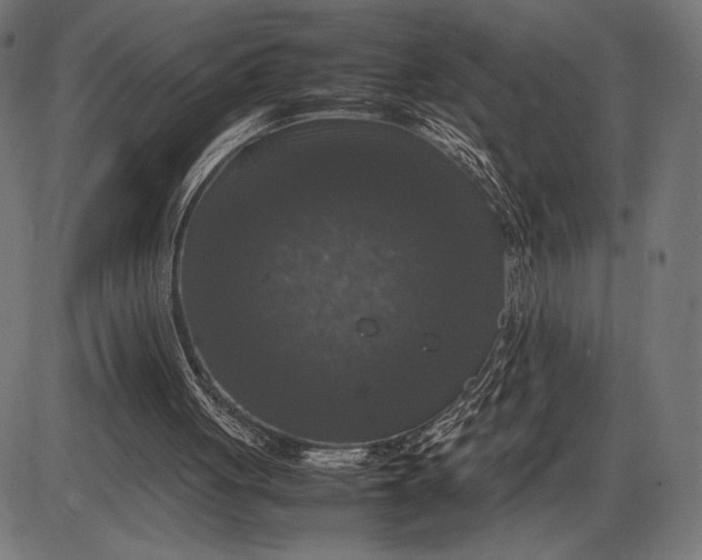 X0000086080051200704091311