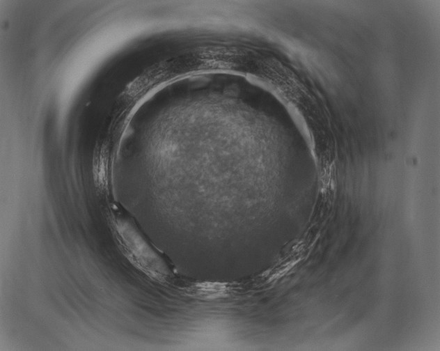 X0000086080052200704091311