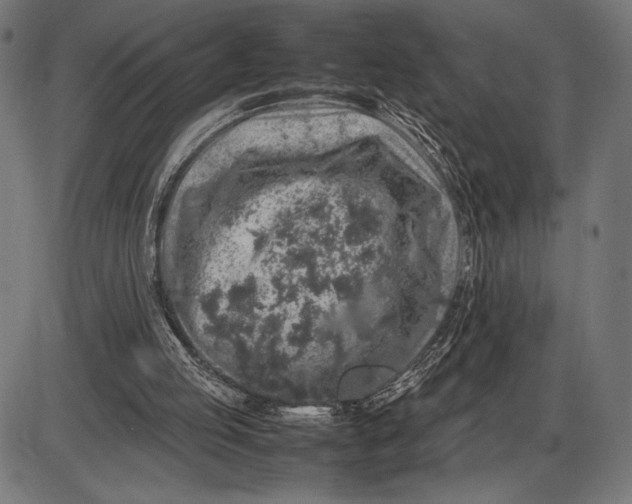 X0000086080053200704091311