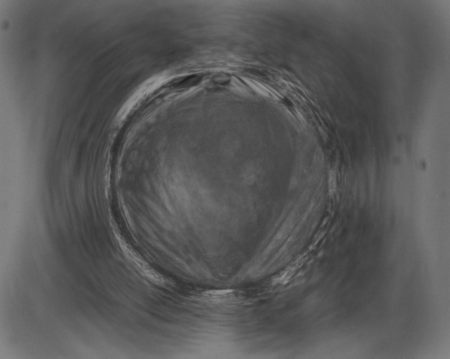 X0000086080054200704091311