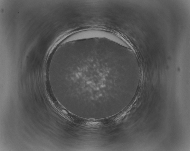 X0000086080055200704091311