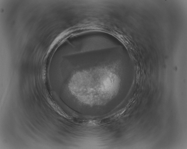 X0000086080056200704091311