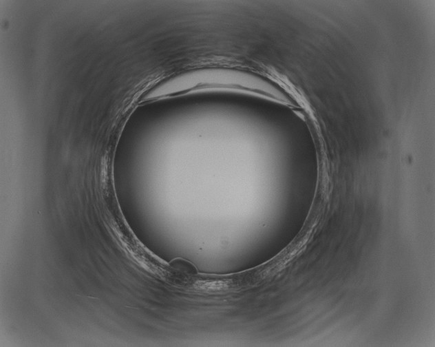 X0000086080057200704091311