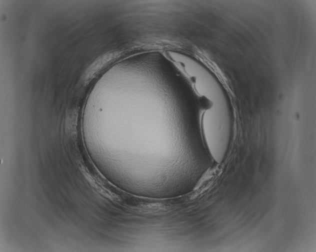 X0000086080058200704091311