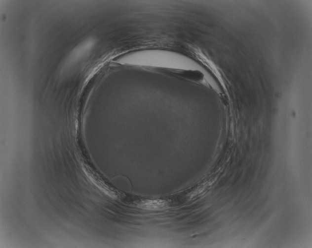 X0000086080059200704091311