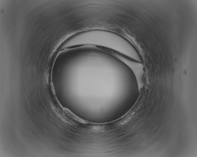 X0000086080060200704091311