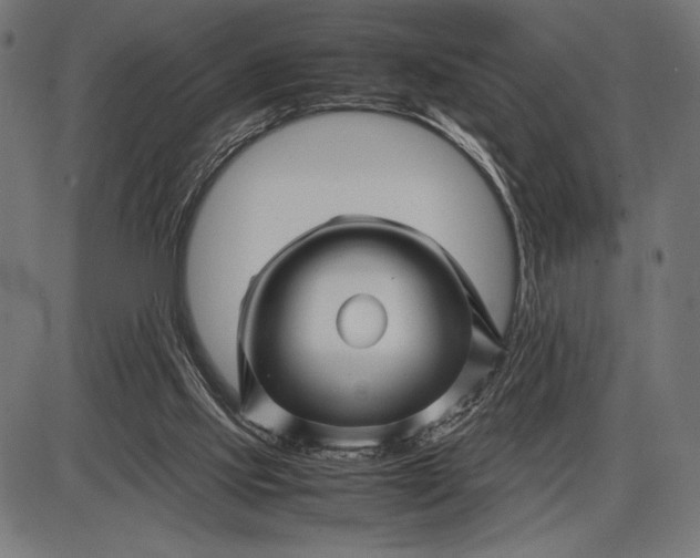 X0000086080061200704091311