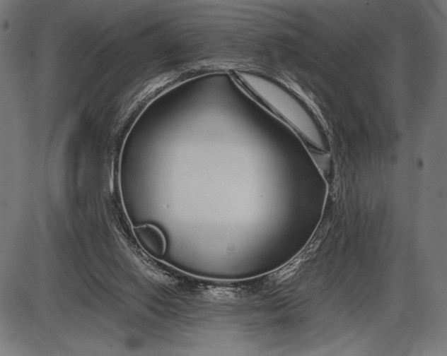 X0000086080062200704091311