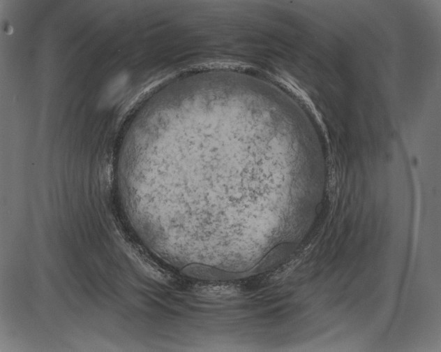 X0000086080063200704091311