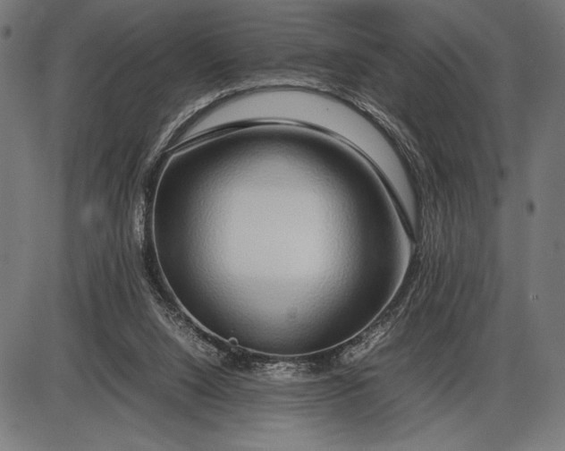 X0000086080064200704091311