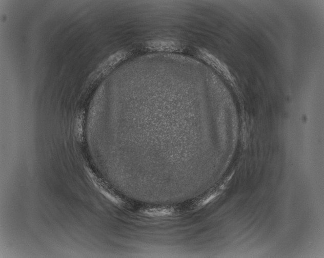 X0000086080065200704091312