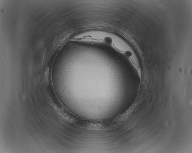 X0000086080066200704091312