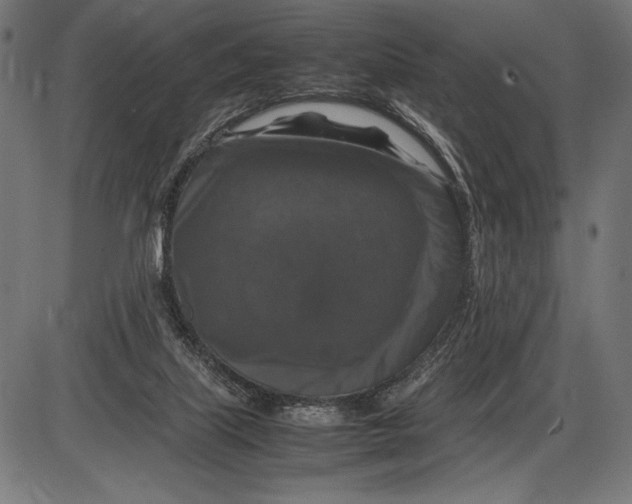 X0000086080067200704091312