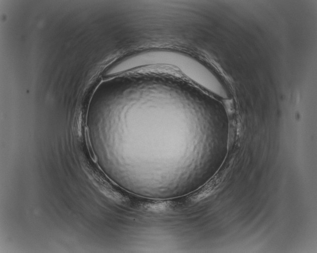 X0000086080068200704091312