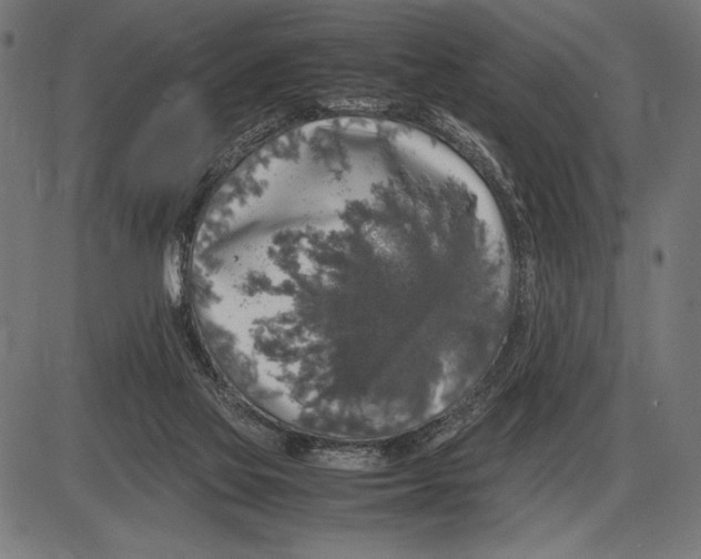 X0000086080069200704091312