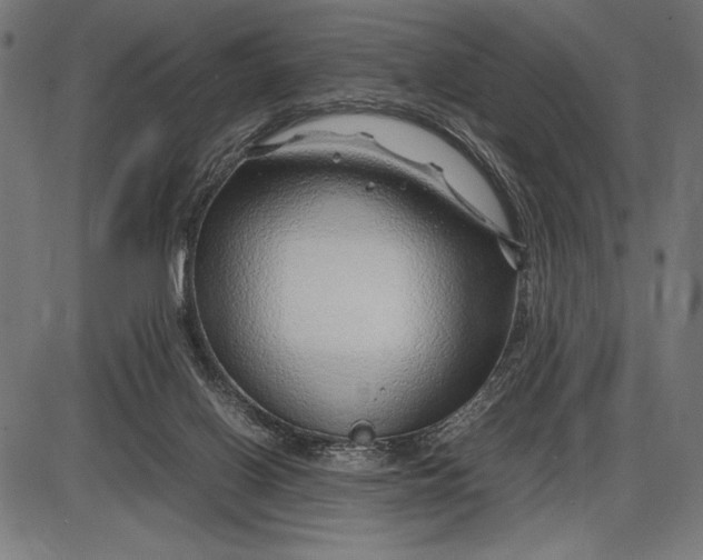 X0000086080070200704091312