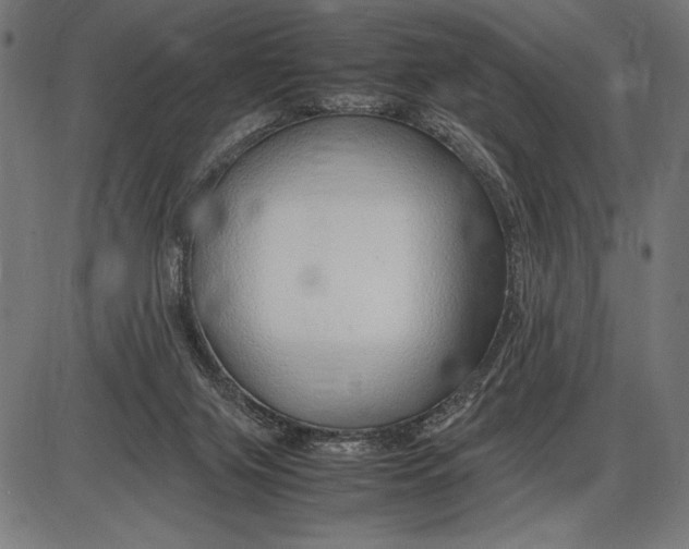 X0000086080071200704091312