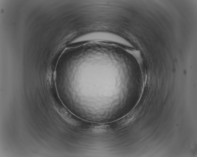 X0000086080072200704091312