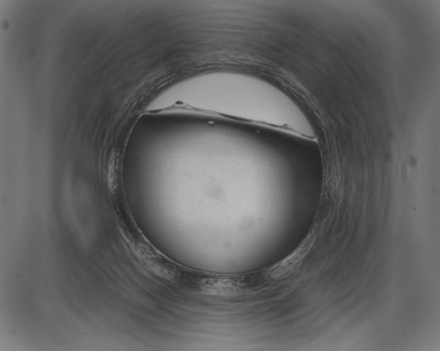 X0000086080074200704091312