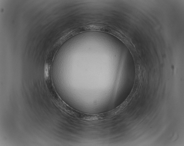 X0000086080075200704091312