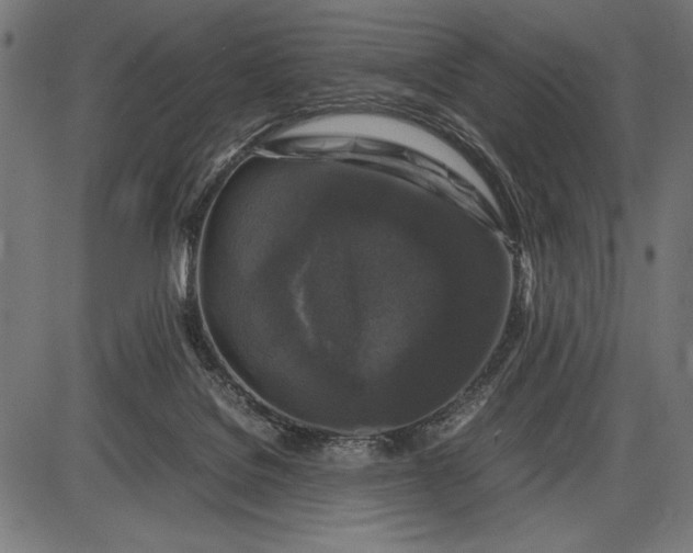 X0000086080076200704091312